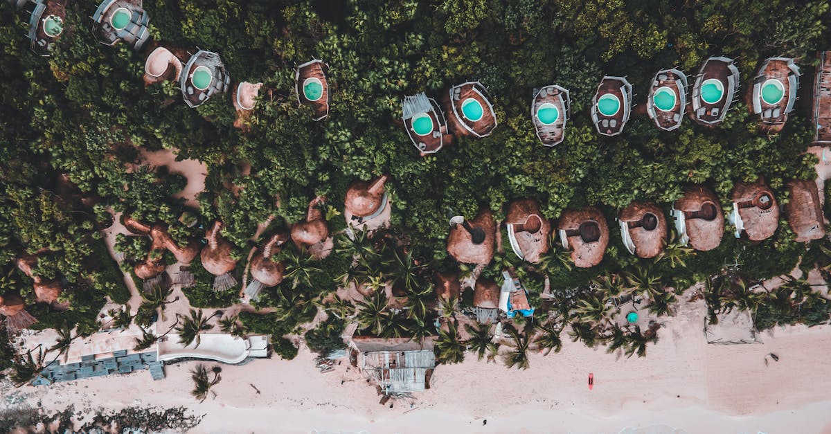 découvrez le tourisme durable : des voyages responsables qui préservent notre planète tout en offrant des expériences authentiques. engagez-vous pour un tourisme respectueux de l'environnement et des cultures locales.