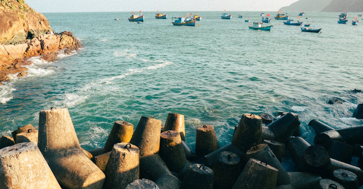 découvrez l'écotourisme : une façon responsable et durable d'explorer la nature tout en soutenant les communautés locales et en préservant l'environnement. engagez-vous pour un voyage enrichissant et respectueux de la planète.