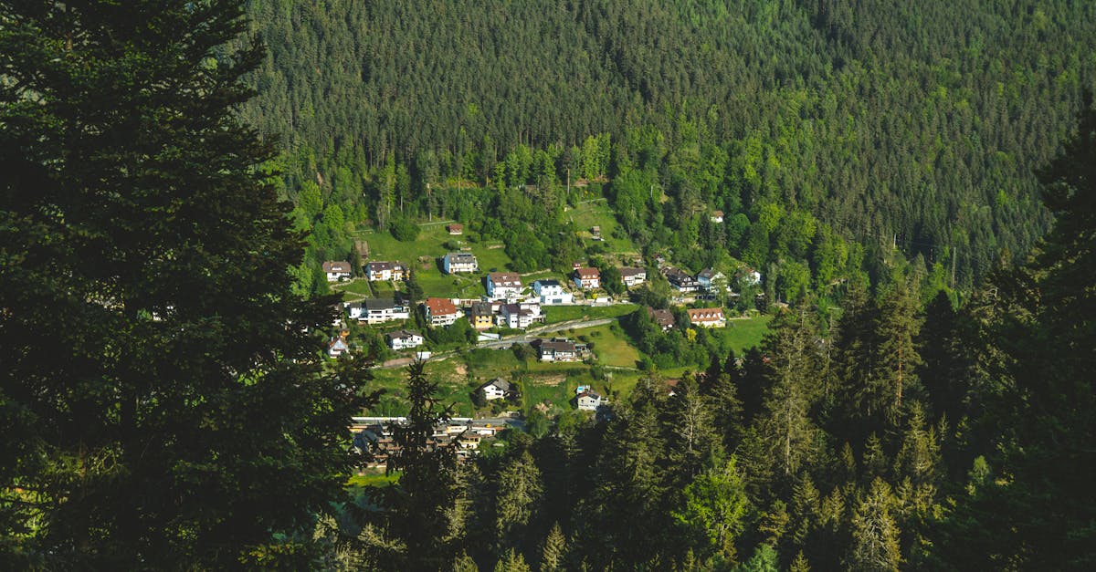 découvrez des destinations hors des sentiers battus qui vous mèneront vers des expériences uniques et authentiques. explorez des lieux secrets, des cultures méconnues et des paysages à couper le souffle, loin de la foule.
