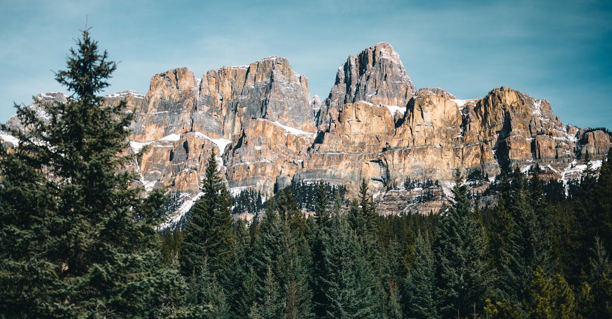 découvrez l'éthique du voyage en explorant des destinations respectueuses de l'environnement et des cultures locales. apprenez à voyager de manière responsable tout en soutenant les communautés et en minimisant votre empreinte écologique.