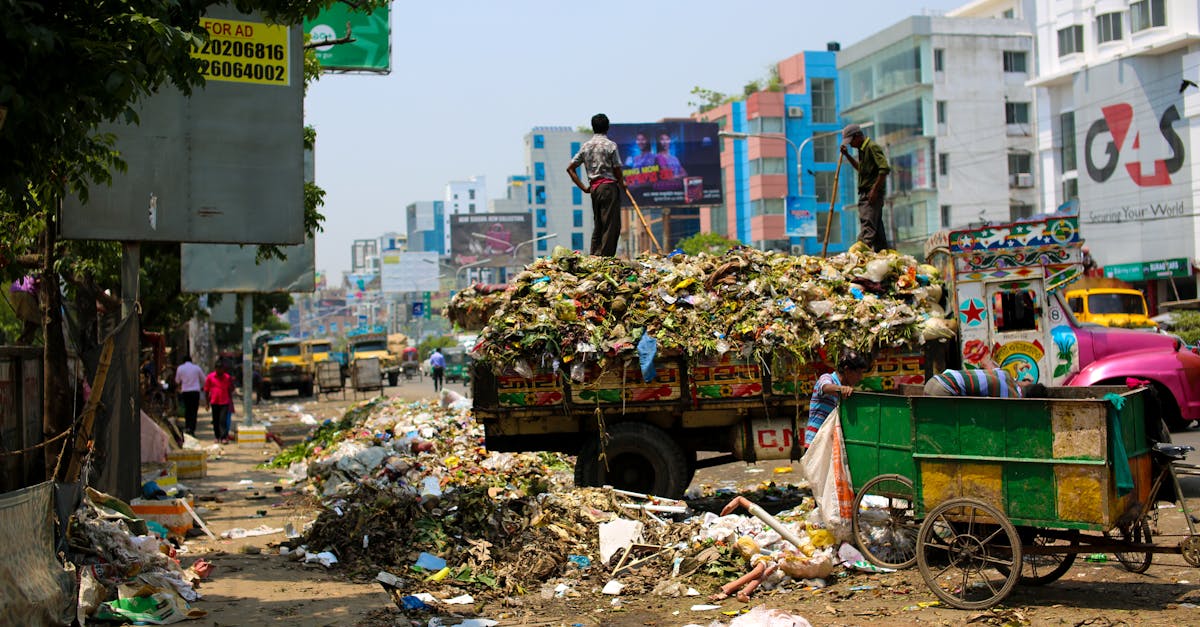 explorez l'importance de l'écologie urbaine pour la durabilité des villes modernes. découvrez comment la biodiversité, les espaces verts et les infrastructures peuvent coexister pour améliorer la qualité de vie en milieu urbain.
