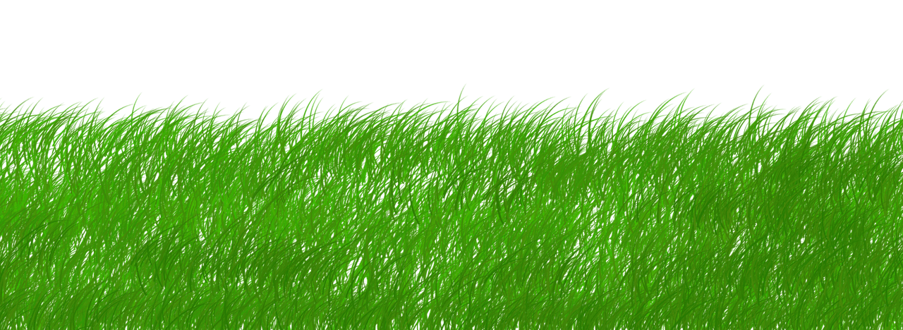 découvrez le concept de durabilité, un enjeu majeur pour notre planète. apprenez comment adopter des pratiques éco-responsables et contribuer à un avenir plus vert et plus durable pour les générations futures.