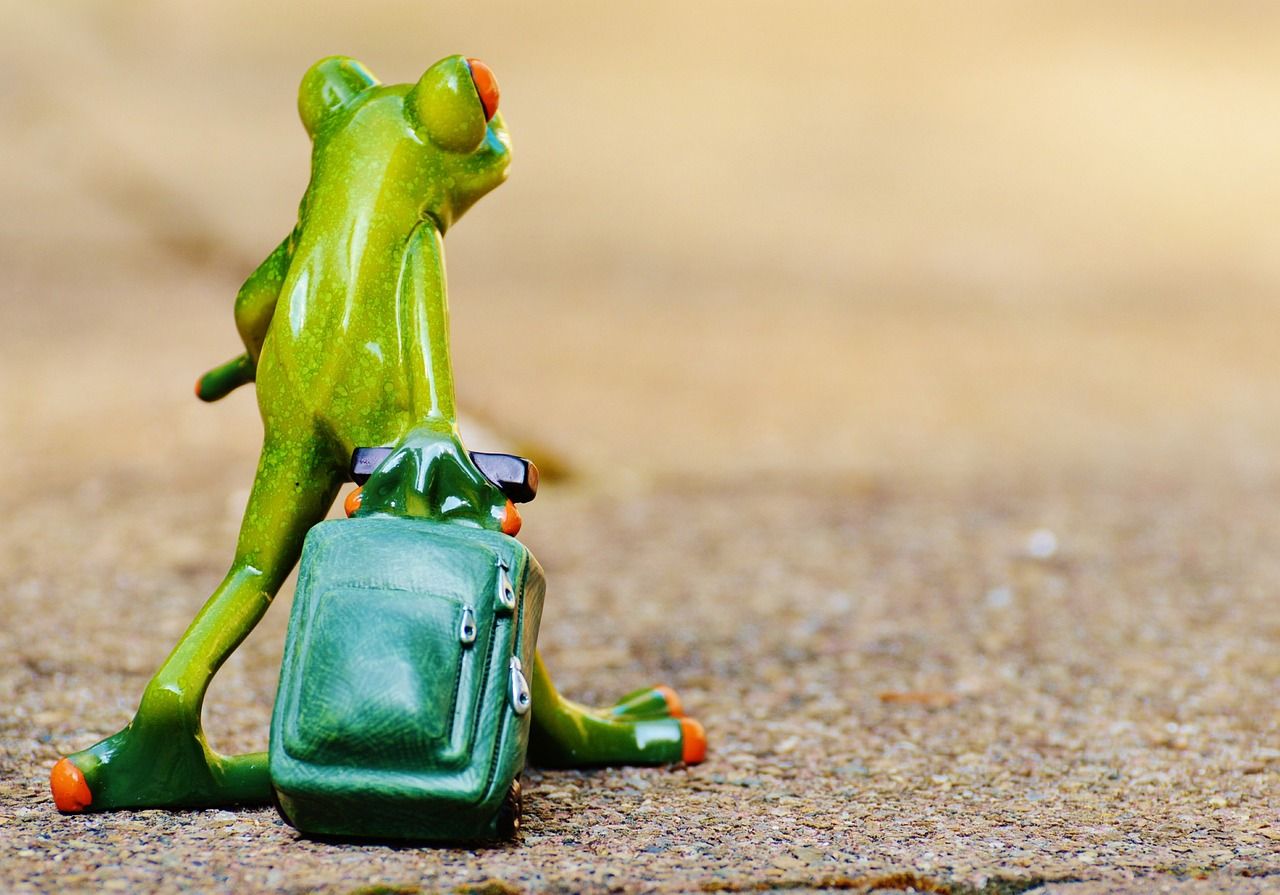 découvrez le monde à travers nos conseils et astuces de voyage. inspirez-vous pour vos prochaines aventures, trouvez des destinations uniques et préparez votre prochain séjour en toute sérénité.