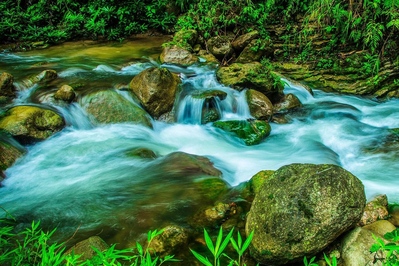 découvrez le slow tourism, un voyage en harmonie avec la nature et les cultures locales. explorez des destinations authentiques, vivez des expériences enrichissantes et ralentissez le rythme pour savourer chaque moment. réveillez votre esprit d'aventure tout en préservant l'environnement.