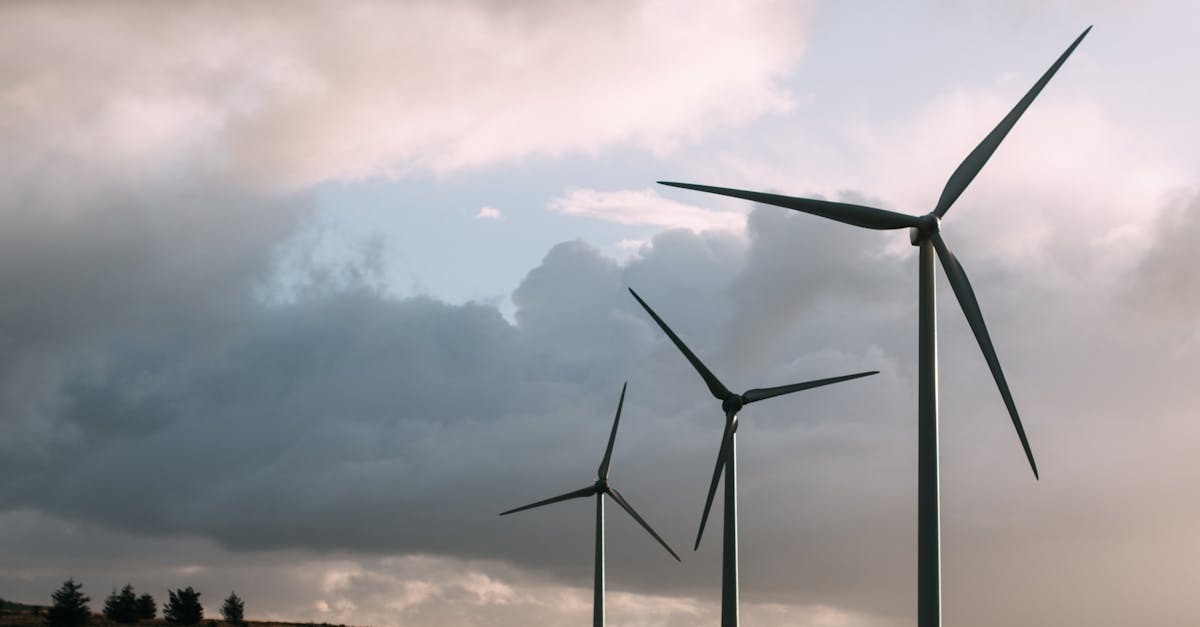 découvrez comment le développement durable façonne un avenir équilibré pour notre planète. explorez des stratégies innovantes et des pratiques respectueuses de l'environnement pour garantir la durabilité des ressources, tout en favorisant le bien-être économique et social.