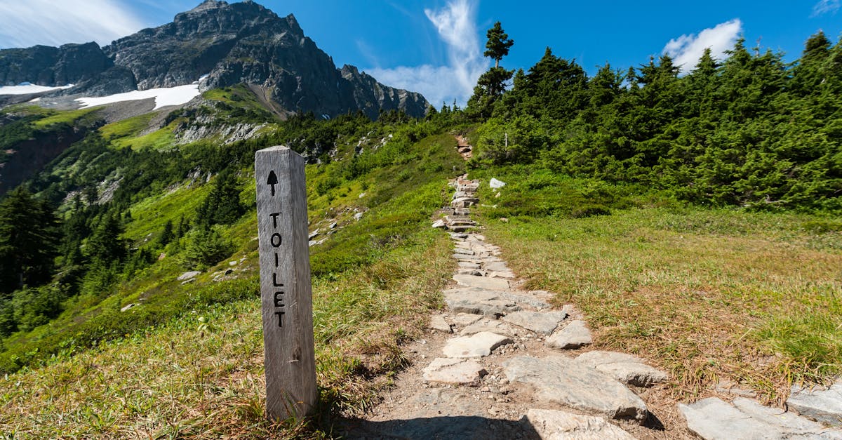 découvrez comment voyager de manière durable avec nos conseils pratiques et nos astuces. profitez d'expériences authentiques tout en préservant notre planète pour les générations futures.