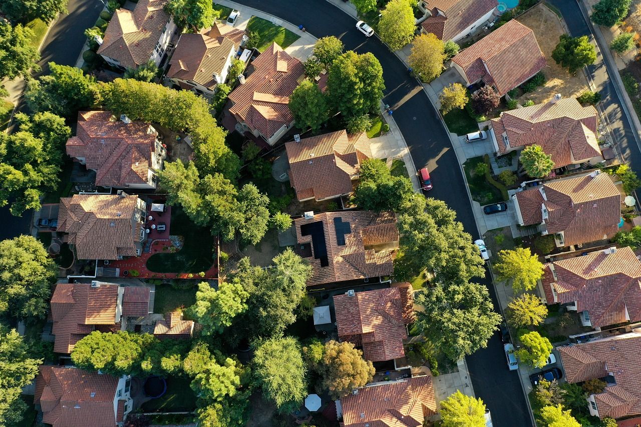 découvrez les pratiques du tourisme durable, alliant respect de l'environnement et découverte de cultures locales. adoptez des voyages responsables qui préservent notre planète tout en vous offrant des expériences inoubliables.