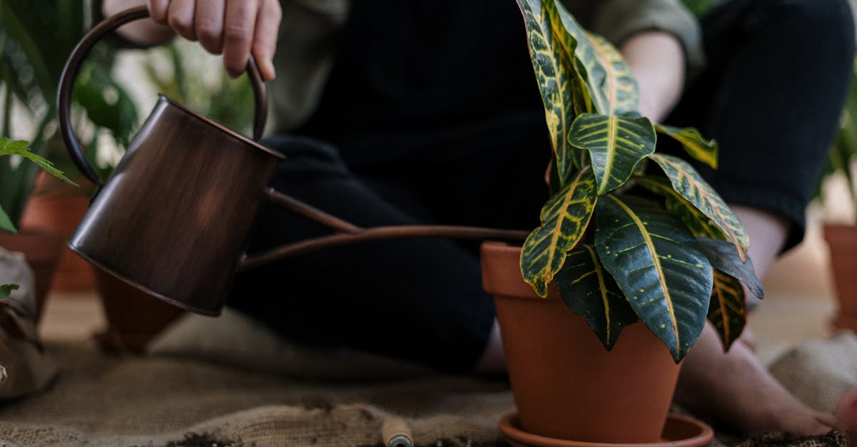 découvrez les principes du mode de vie durable. apprenez à intégrer des pratiques éco-responsables dans votre quotidien pour réduire votre empreinte écologique, économiser de l'énergie et favoriser un environnement sain pour les générations futures.