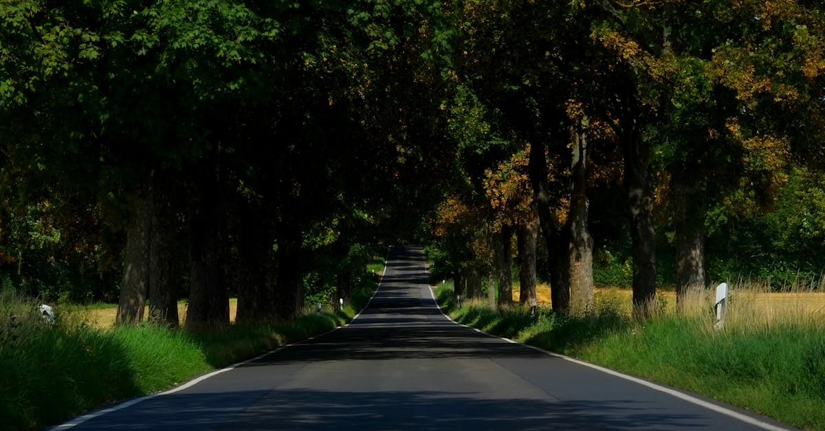 découvrez des astuces et des conseils pour un voyage durable. explorez des destinations écologiques, des modes de transport respectueux de l'environnement et des pratiques responsables pour minimiser votre empreinte carbone tout en profitant d'expériences enrichissantes.