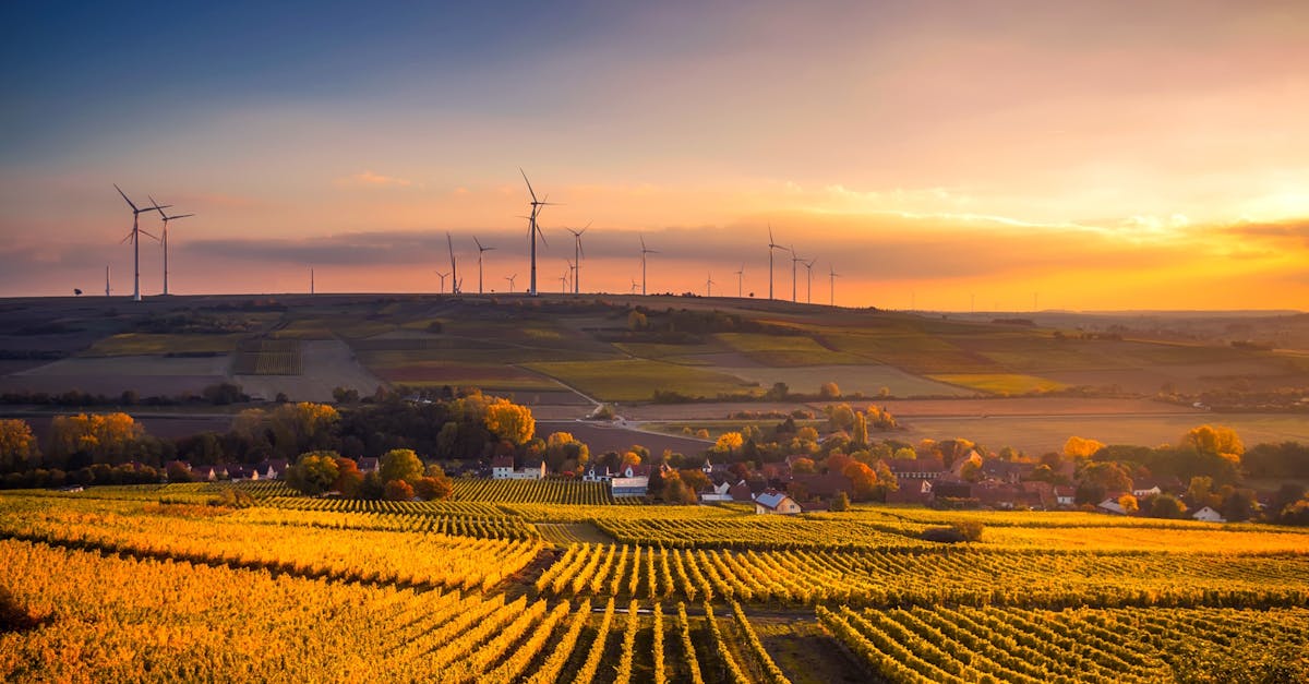 découvrez comment adopter un mode de vie durable avec des conseils pratiques, des solutions écologiques et des initiatives responsables pour préserver notre planète tout en améliorant votre quotidien.