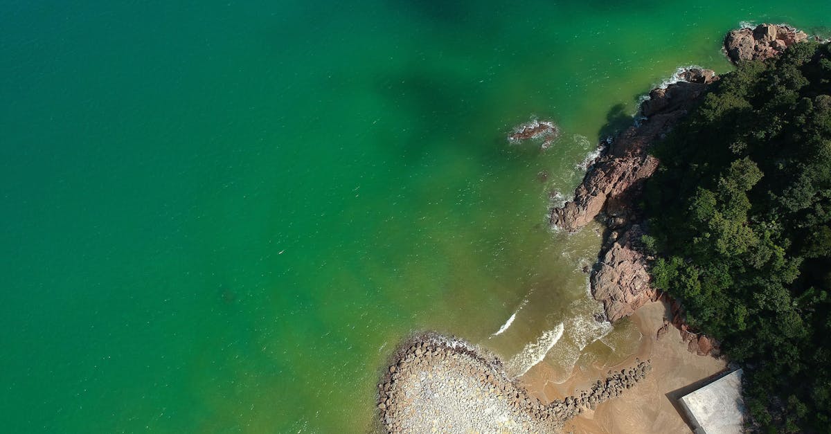 découvrez des conseils et des astuces pour un voyage durable, respectueux de l'environnement et des cultures locales. apprenez à réduire votre empreinte écologique tout en explorant des destinations magnifiques et en soutenant les communautés locales.