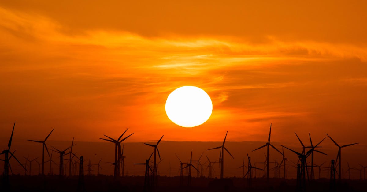 découvrez des alternatives durables pour un mode de vie éco-responsable. explorez des choix innovants et respectueux de l'environnement qui préservent notre planète tout en répondant à vos besoins quotidiens.