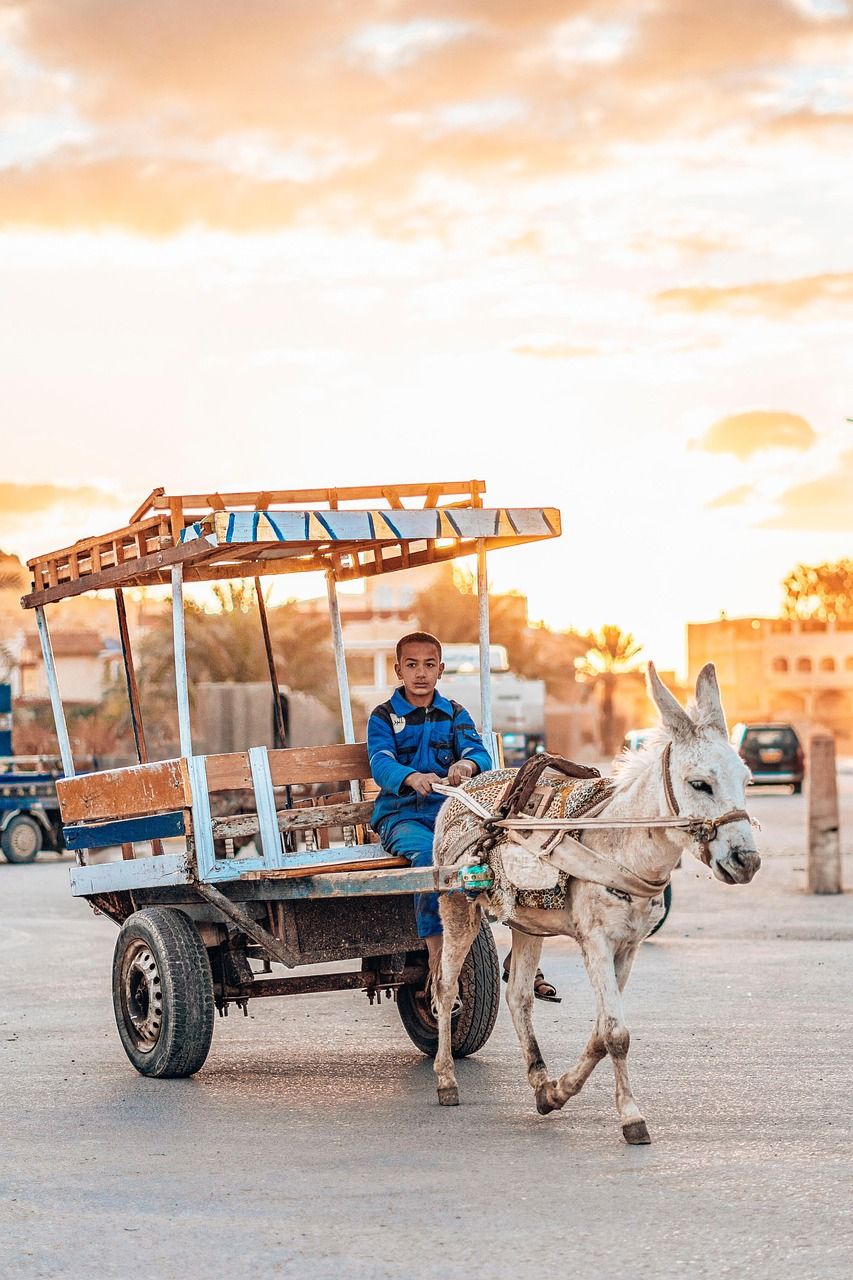 découvrez l'aventure locale comme jamais auparavant ! explorez des paysages enchanteurs, des activités palpitantes et des trésors cachés. rejoignez-nous pour vivre des moments inoubliables dans votre région.