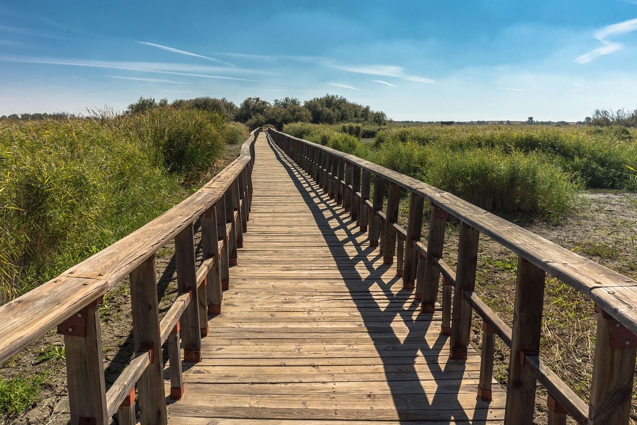 découvrez l'histoire fascinante de votre région à travers une promenade historique. plongez dans le passé, explorez des sites emblématiques et appréciez les récits qui ont façonné notre culture. une expérience inoubliable pour les passionnés d'histoire et les curieux!