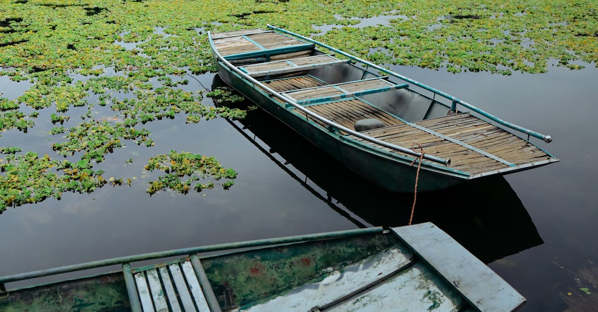Les meilleurs offreurs de séjours verts en France
