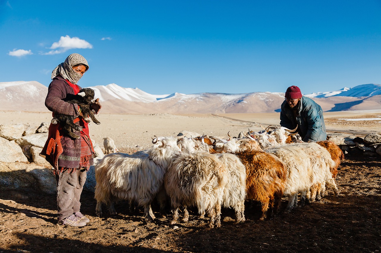 Caravane nomade : découvrez les avantages d’une vie itinérante