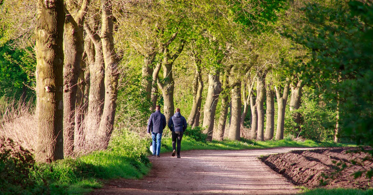 Le tourisme rural : découvrir la France authentique au cœur de la nature
