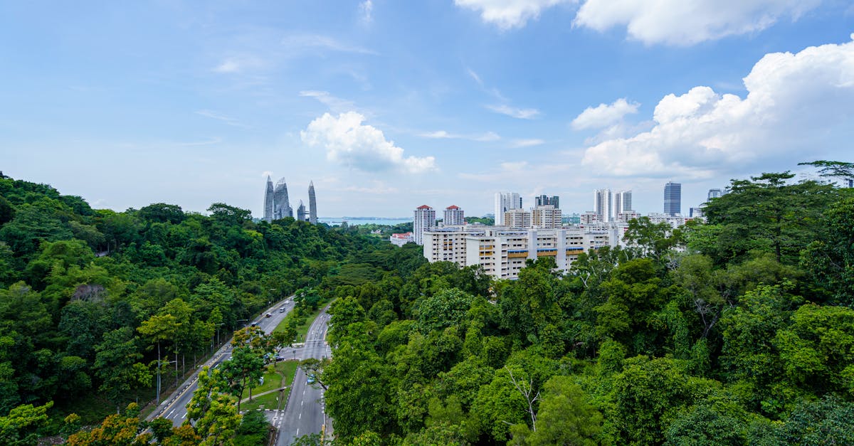 L’importance de l’écologie urbaine pour les villes durables