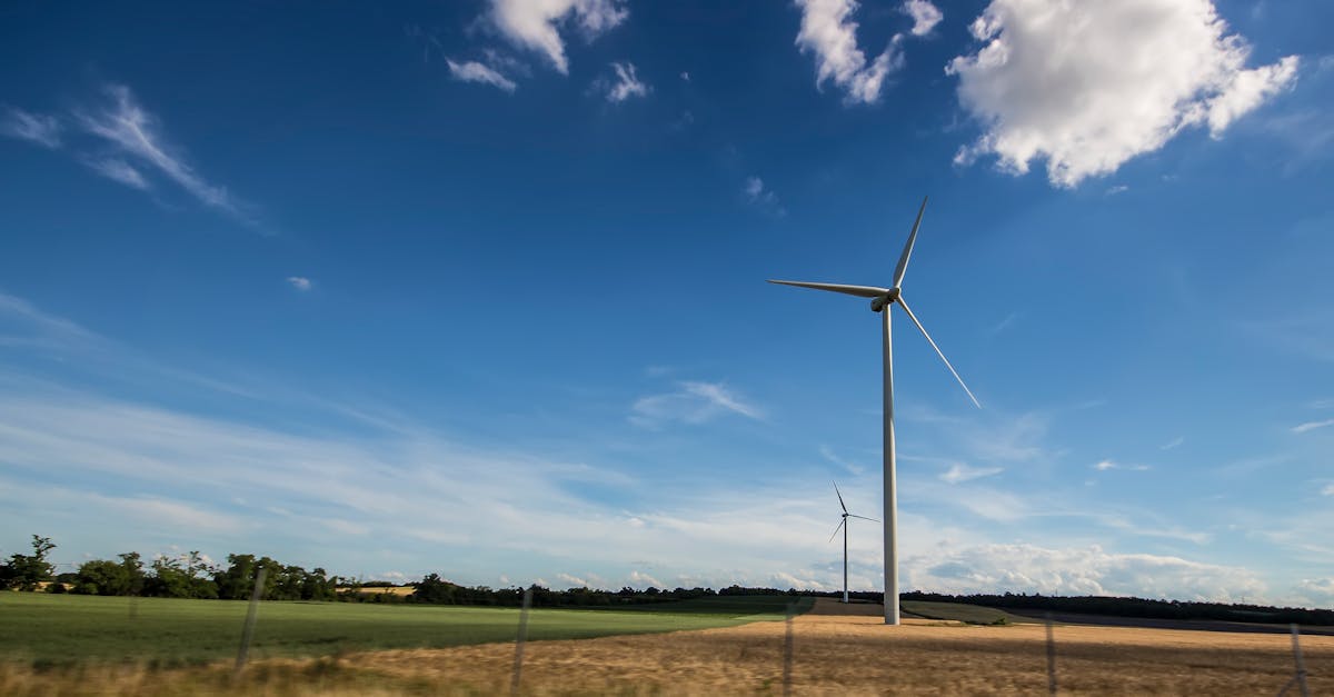 L’importance du développement durable pour l’avenir de notre planète