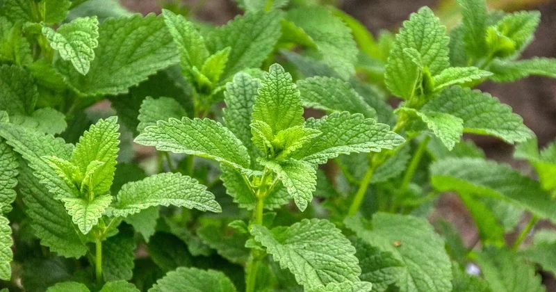 Pourquoi ChatGPT plante si souvent : les causes récurrentes