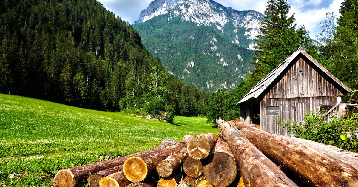 Vacances à la campagne : une échappée belle pour se ressourcer