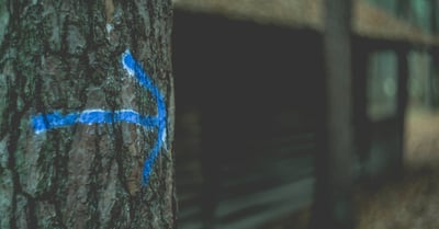 Voyage éthique : comment voyager responsable et durable