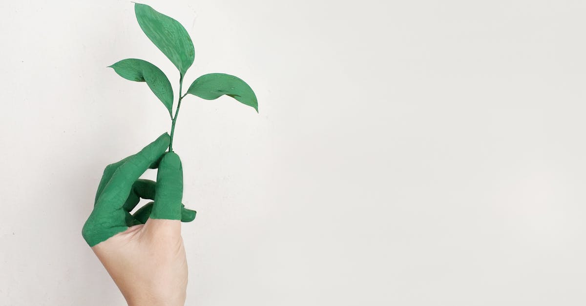 La relation entre la nature et la culture : un équilibre à préserver