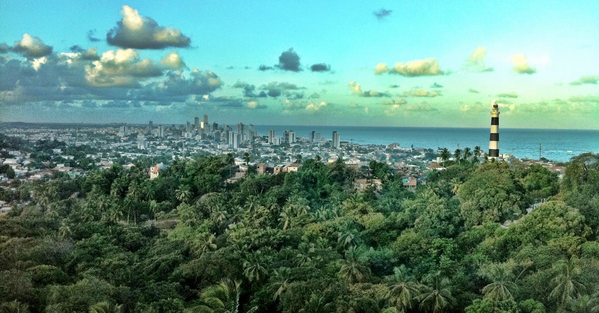 Vers un paysage urbain durable : enjeux et solutions
