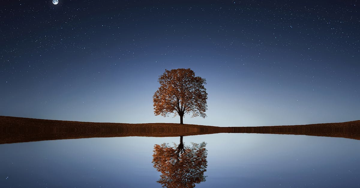 La nature comme miroir de nos émotions