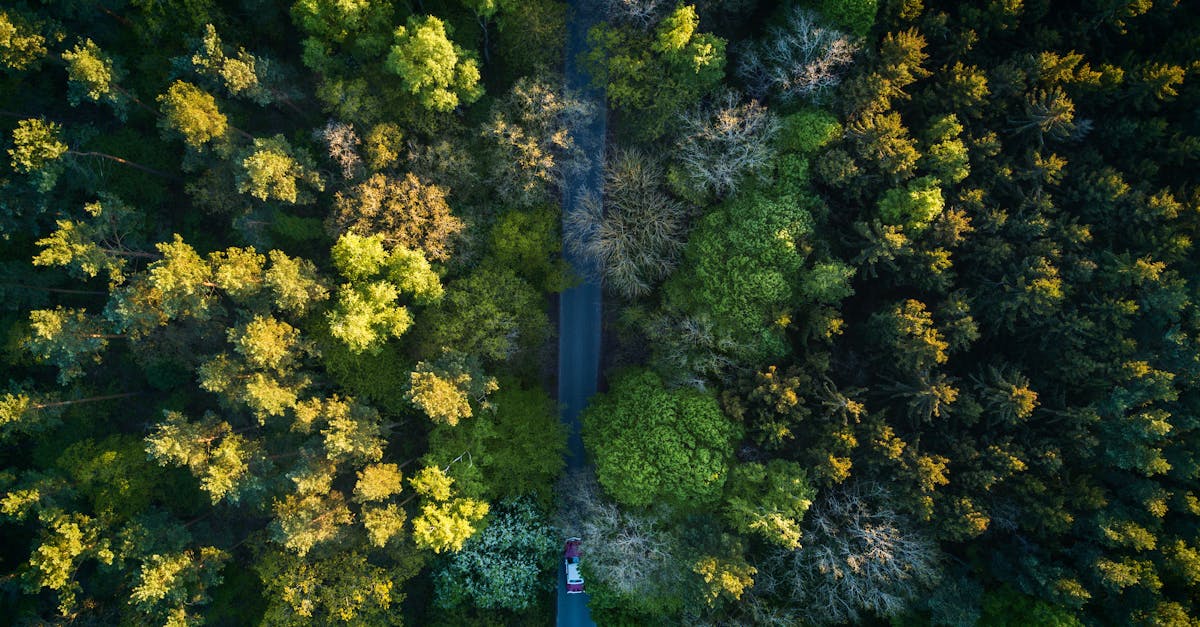 La préservation de l’environnement : enjeux et solutions