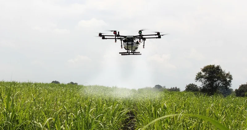 Automatiser la production : ma ferme à canne à sucre, version 2026