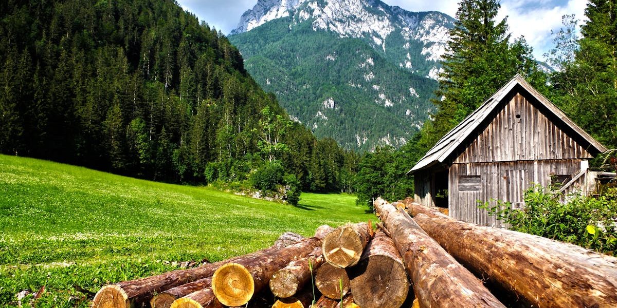 découvrez une retraite à la campagne, un havre de paix idéal pour échapper au stress urbain. profitez de la nature, du calme et de l'authenticité dans un environnement serein.