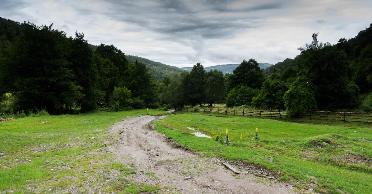 évadez-vous dans un havre de paix à la campagne, où la nature rencontre le confort. découvrez un cadre idyllique pour vous ressourcer, loin du bruit et du stress quotidien. profitez de paysages bucoliques, d'activités de plein air et d'une atmosphère chaleureuse pour un séjour inoubliable.