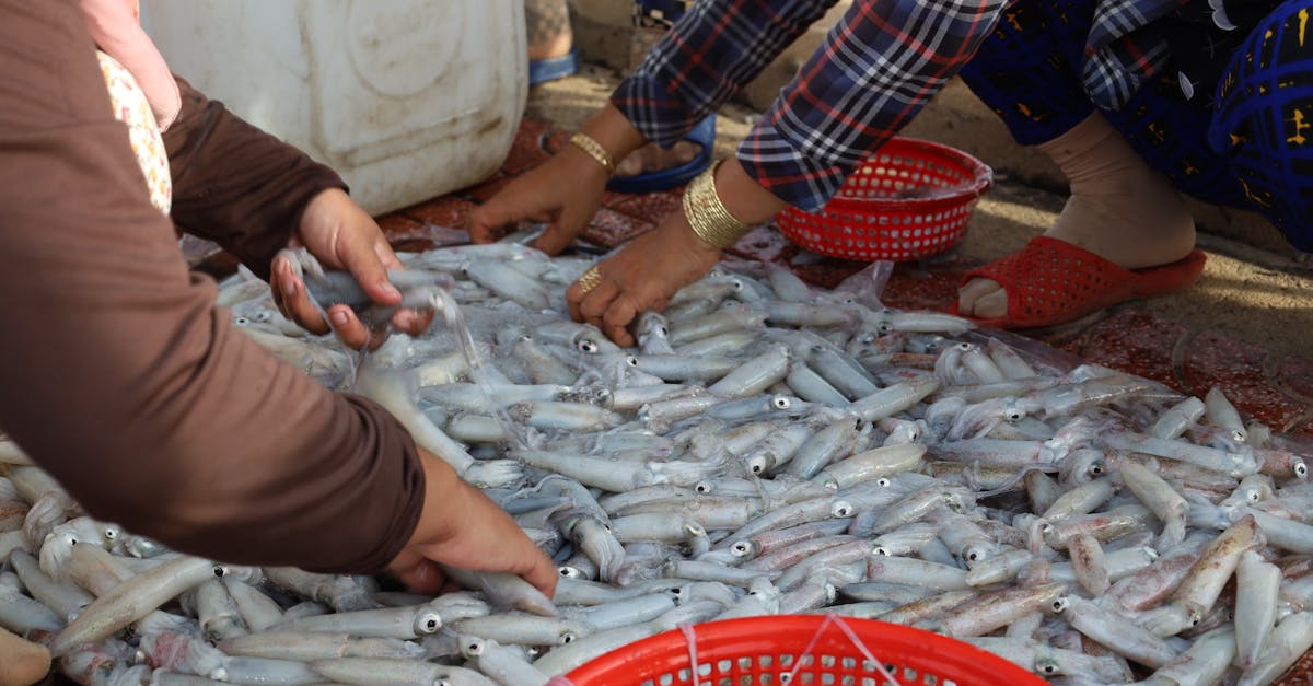 découvrez les avantages du local sourcing : une approche durable qui favorise les économies locales, réduit l'empreinte carbone et renforce la qualité des produits. apprenez à intégrer le sourcing local dans votre stratégie commerciale pour un impact positif sur votre communauté.