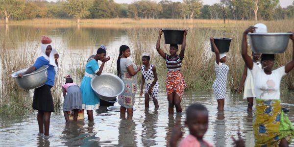 découvrez les avantages du local sourcing, une approche écoresponsable qui favorise l'approvisionnement en produits locaux. optimisez votre chaîne d'approvisionnement tout en soutenant l'économie locale et en réduisant votre empreinte carbone.