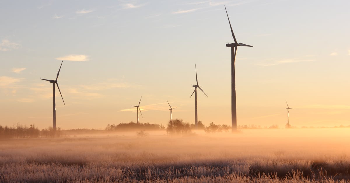 découvrez l'importance de la durabilité dans notre société moderne. apprenez comment des pratiques responsables et des choix écologiques peuvent contribuer à un avenir meilleur pour notre planète et les générations futures.