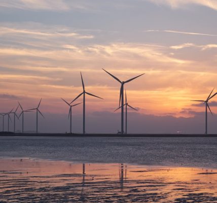 découvrez l'importance de la durabilité et de ses enjeux pour notre planète. apprenez comment adopter des pratiques durables au quotidien pour préserver l'environnement et assurer un avenir meilleur.