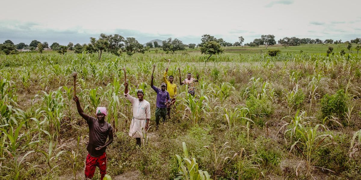 découvrez comment les traditions durables façonnent notre rapport à l'environnement et à la culture. explorez des pratiques ancestrales respectueuses de la planète et engagez-vous dans un mode de vie qui préserve notre héritage pour les générations futures.
