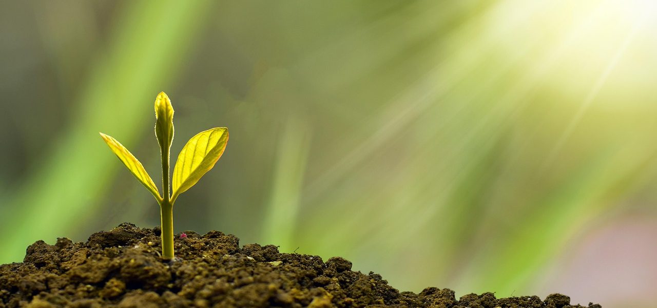découvrez comment l'économie collaborative transforme nos modes de consommation et de partage. explorez les initiatives innovantes qui favorisent la coopération et la durabilité au sein des communautés.