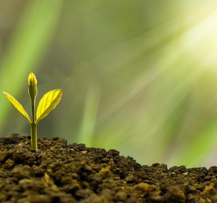 découvrez comment l'économie collaborative transforme nos modes de consommation et de partage. explorez les initiatives innovantes qui favorisent la coopération et la durabilité au sein des communautés.