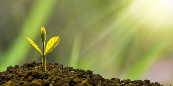 découvrez comment l'économie collaborative transforme nos modes de consommation et de partage. explorez les initiatives innovantes qui favorisent la coopération et la durabilité au sein des communautés.
