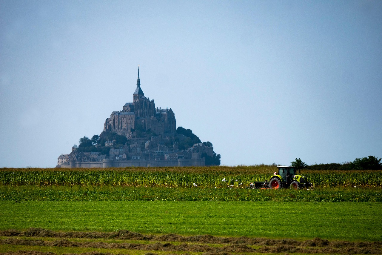 découvrez la richesse de la culture locale à travers ses traditions, ses événements et ses artisans. imprégnez-vous des saveurs et des couleurs qui font vivre chaque région, et laissez-vous inspirer par les histoires et les pratiques uniques qui façonnent notre patrimoine collectif.