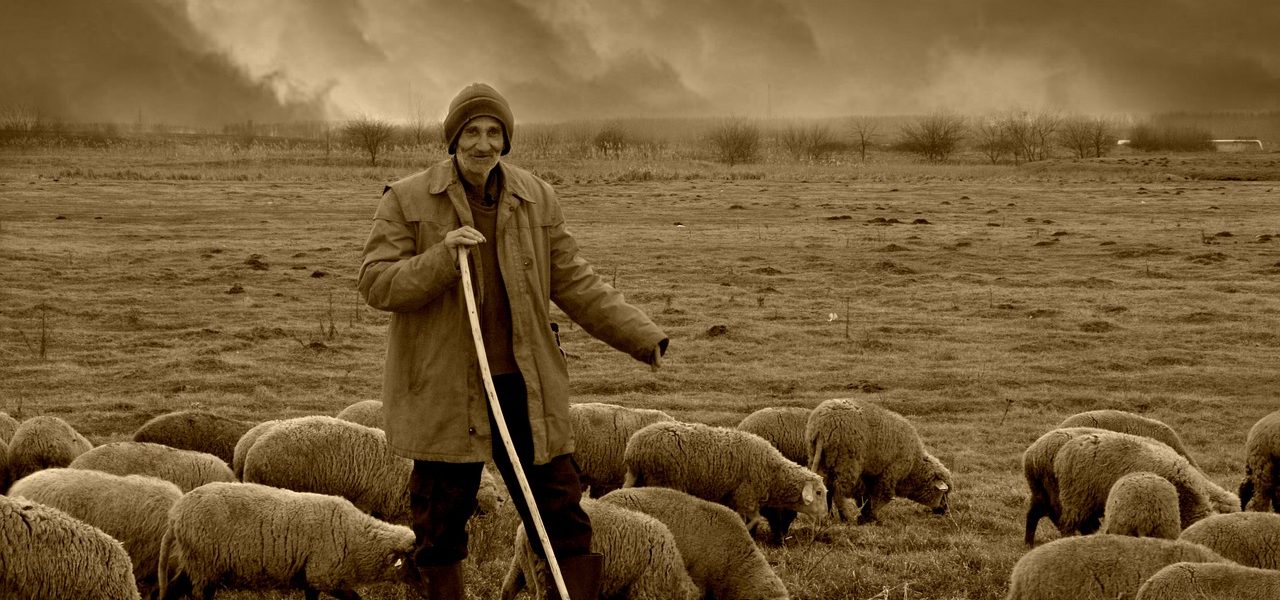 découvrez les communautés nomades, leur style de vie unique, leurs traditions riches et leur relation harmonieuse avec la nature. plongez dans l'univers fascinant de ces groupes qui traversent le temps et les frontières tout en préservant leur culture.