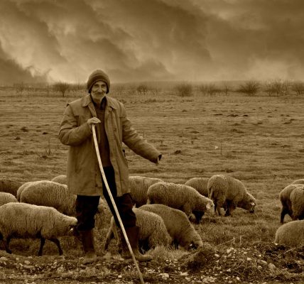 découvrez les communautés nomades, leur style de vie unique, leurs traditions riches et leur relation harmonieuse avec la nature. plongez dans l'univers fascinant de ces groupes qui traversent le temps et les frontières tout en préservant leur culture.