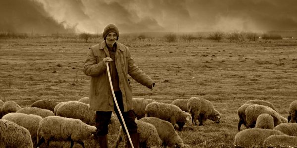 découvrez les communautés nomades, leur style de vie unique, leurs traditions riches et leur relation harmonieuse avec la nature. plongez dans l'univers fascinant de ces groupes qui traversent le temps et les frontières tout en préservant leur culture.
