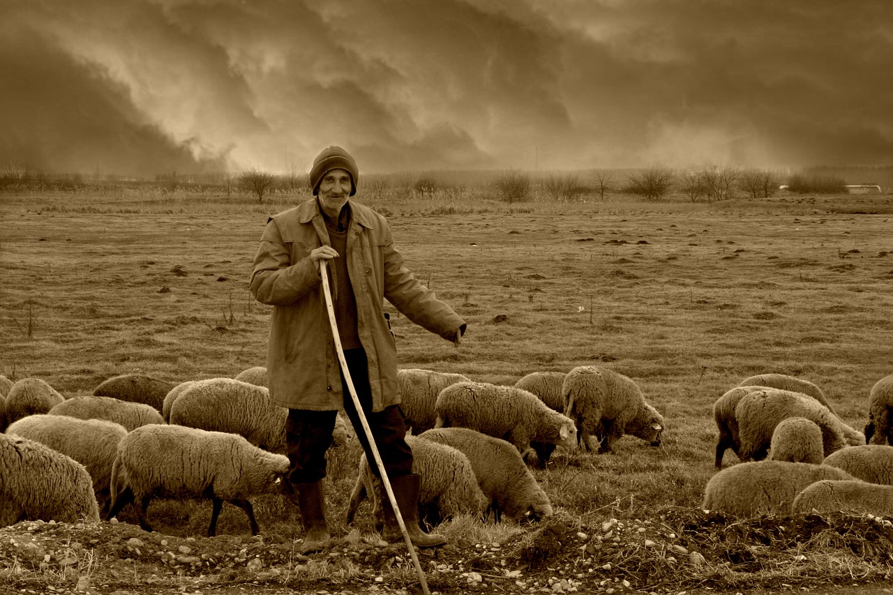 découvrez les communautés nomades, leur style de vie unique, leurs traditions riches et leur relation harmonieuse avec la nature. plongez dans l'univers fascinant de ces groupes qui traversent le temps et les frontières tout en préservant leur culture.