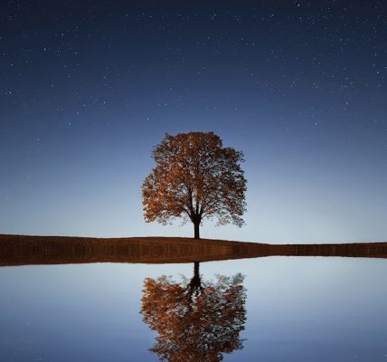découvrez l'art de la réflexion à travers des pensées profondes et des idées novatrices. plongez dans un voyage intellectuel qui stimule votre esprit et éclaire votre vision du monde. explorez les enjeux de la pensée critique et de l’introspection.