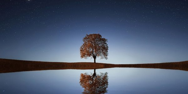 découvrez l'art de la réflexion à travers des pensées profondes et des idées novatrices. plongez dans un voyage intellectuel qui stimule votre esprit et éclaire votre vision du monde. explorez les enjeux de la pensée critique et de l’introspection.