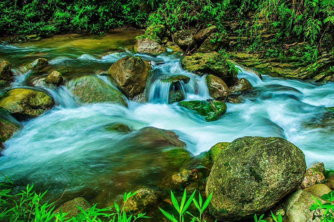 découvrez le slow tourism, un voyage en harmonie avec la nature et les cultures locales. explorez des destinations authentiques, vivez des expériences enrichissantes et ralentissez le rythme pour savourer chaque moment. réveillez votre esprit d'aventure tout en préservant l'environnement.