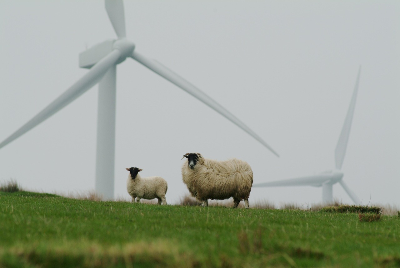 découvrez les pratiques de l'agriculture durable, alliant préservation de l'environnement, respect des ressources naturelles et soutien aux communautés agricoles. apprenez comment ces méthodes innovantes permettent de produire des aliments de qualité tout en protégeant notre planète pour les générations futures.
